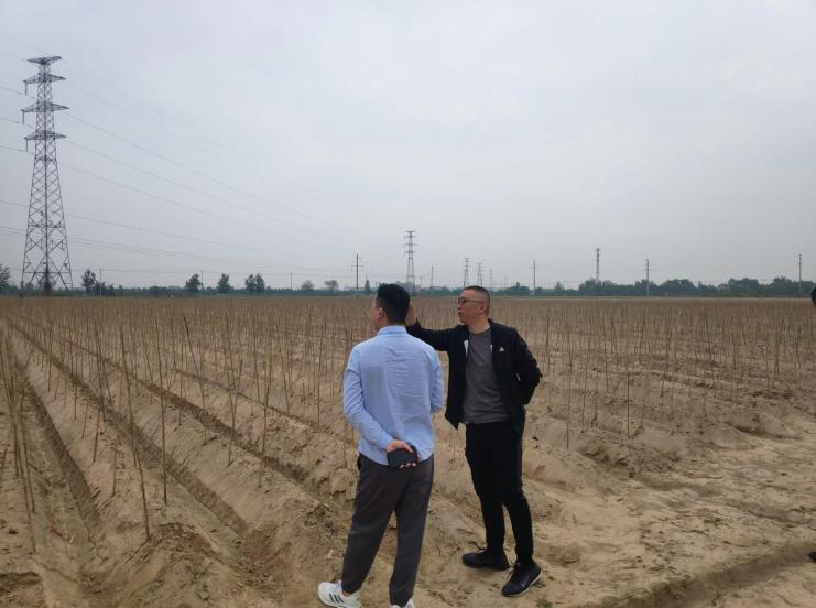 菏澤鄆城線路遷改工程穩(wěn)評已順利完結！