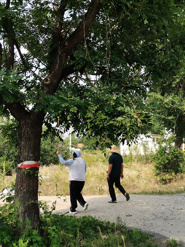 棗莊市市中區(qū)西王莊村項目正在進(jìn)行現(xiàn)場調(diào)研